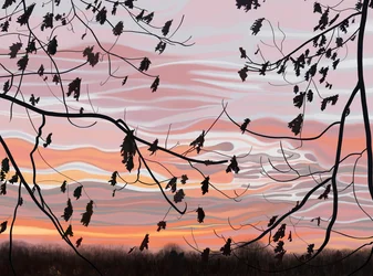 Feuilles de chêne et ciel, Brooklyn (art numérique)