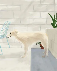 Penny On The Back Porch 2017 (dessiné à la main sur un iPad avec un crayon Apple)