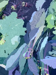 Chou frisé violet, 2025 (art numérique)