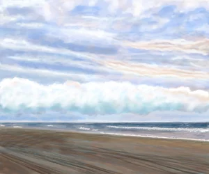 Plage des cygnes