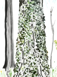 Arbre avec lierre (art numérique)