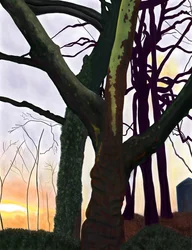 Arbres, Prospect Park, Brooklyn (art numérique)
