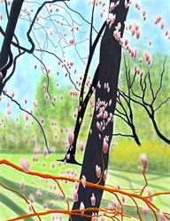 Arbre à tulipes