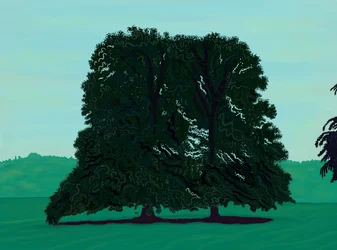 Deux arbres Lindsen dans un champ (art numérique)