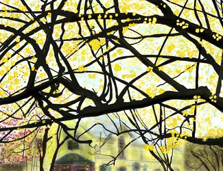 Arbre à fleurs jaunes, Brooklyn (art numérique)
