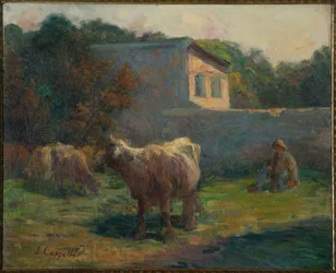 Vaches en pâturage