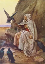 Les oiseaux qui partageaient leur nourriture (lithographie couleur)