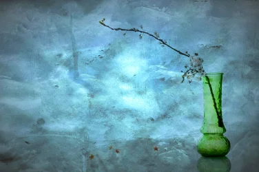 Fleurs bleues silencieuses