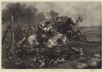 Chasse au sanglier