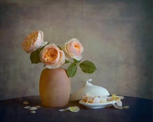 Nature morte aux roses rose poudré