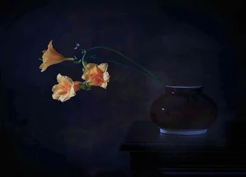 Sombre éclat floral