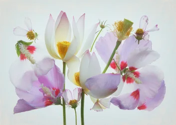 Composition florale éthérée