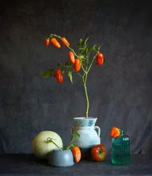 Nature morte rustique aux tomates orange