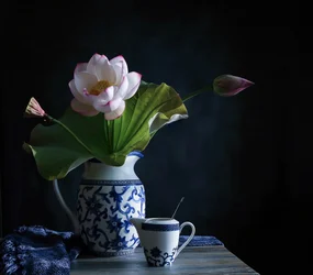 Arrangement serein de lotus