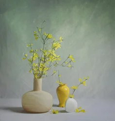 Vases printaniers éclatants