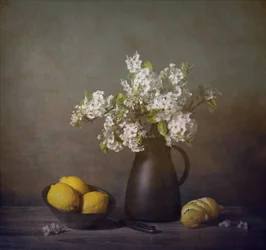 Fleurs blanches et citrons