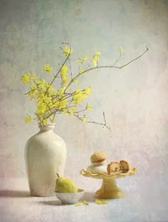 Délicieuses forsythias jaunes