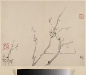 Album du prunier en fleurs