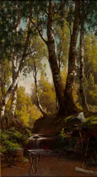 Ruisseau de la forêt
