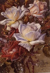 Un bouquet de roses