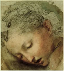 Tête de femme, 1568