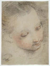 Tête de fille, étude pour une figure dans le retable de la Madonna del Popolo aux Offices