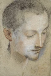 Étude de la tête d