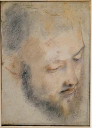 Étude de tête - Dessin de Barocci