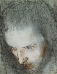 Tête de Saint François regardant vers le haut à gauche