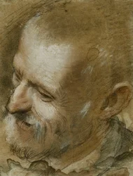 Étude de la tête d