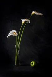 Lys calla et pomme