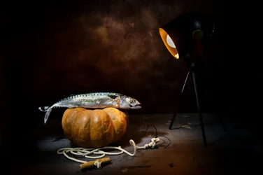 Poisson et citrouille spectaculaires