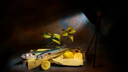 Nature morte spectaculaire représentant un maquereau