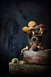 Nature morte aux champignons aux couleurs terreuses