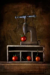 Presse à tomates rustique