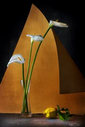 Nature morte aux callas sereines