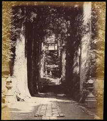 Allée d