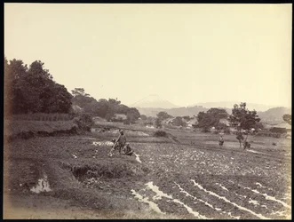 Fujiyama depuis la nouvelle route