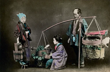 Marchand de légumes, Japon, 1882