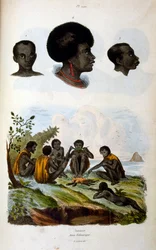Illustration anthropologique représentant la race éthiopienne