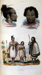 Illustration anthropologique représentant la race maorie