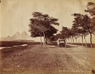 Le Caire. Allée des Pyramides