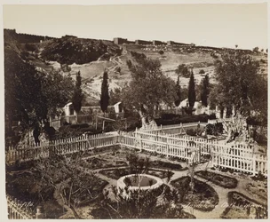 Jardin de Gethsémani no 303