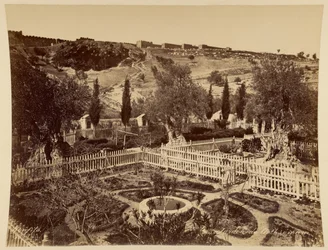 Jardin de Gethsémani