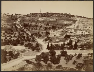Mont des Oliviers, Jérusalem
