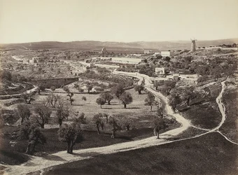 Paysage de vallée avec un moulin à vent et des oliveraies
