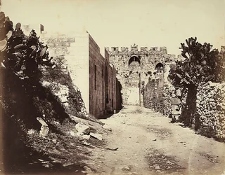 Vue d