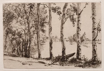 Peupliers sur la rive de la Seine