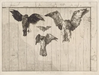 Oiseaux cloués à une porte de grange (Le haut d