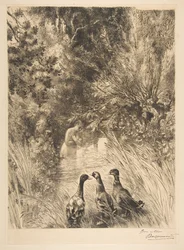 Canards surpris, 1882